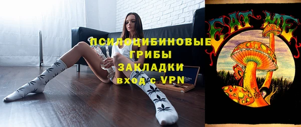 винт Алексеевка
