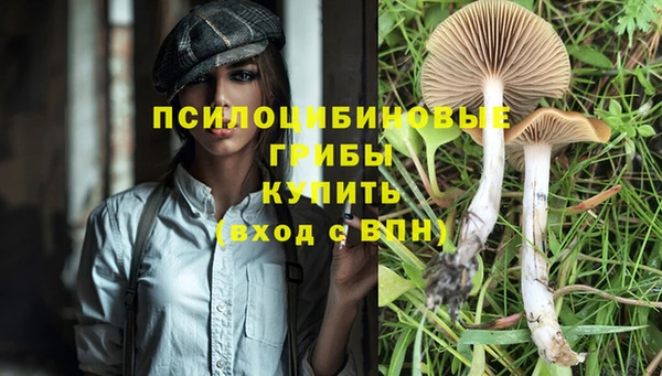 PSILOCYBIN Фурманов