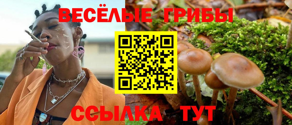 Галлюциногенные грибы Magic Shrooms  Вход с VPN  Ленинск-Кузнецкий 